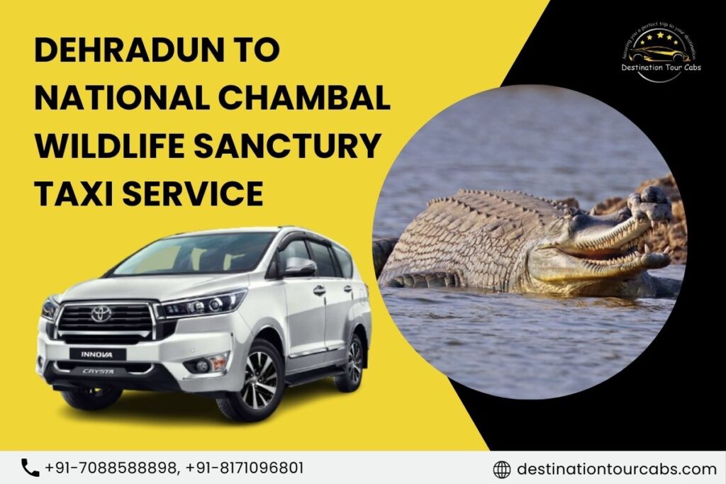 Dehradun to National Chambal Wildlife Sanctury Taxi Service