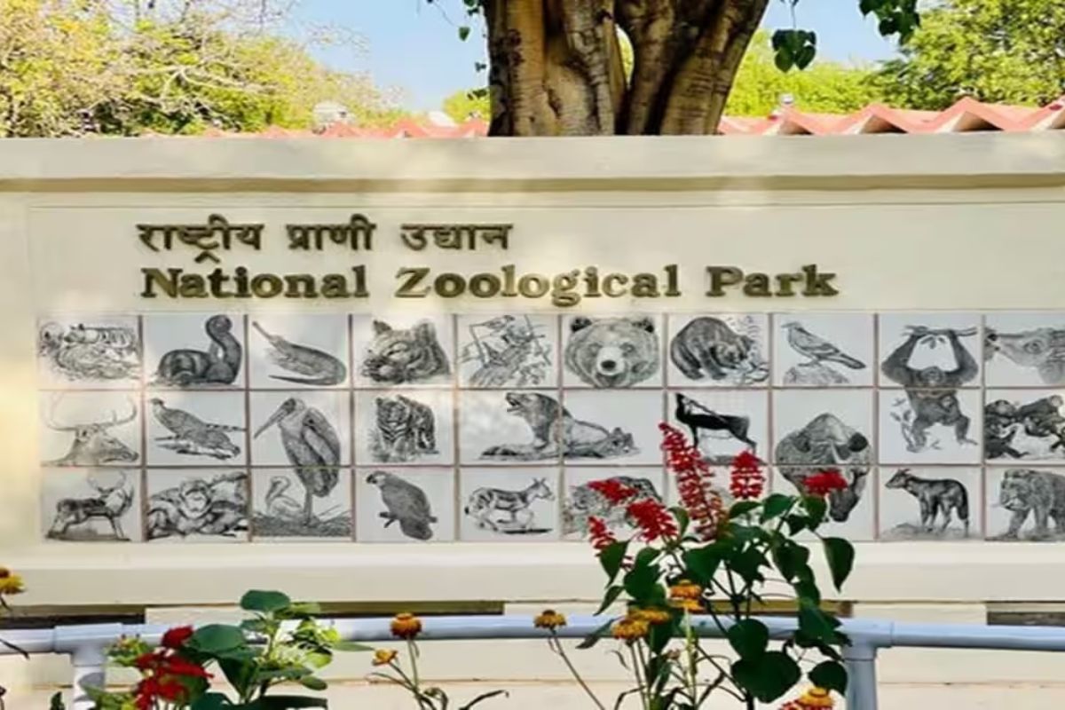 Dehradun to Delhi Taxi National Zoological Park